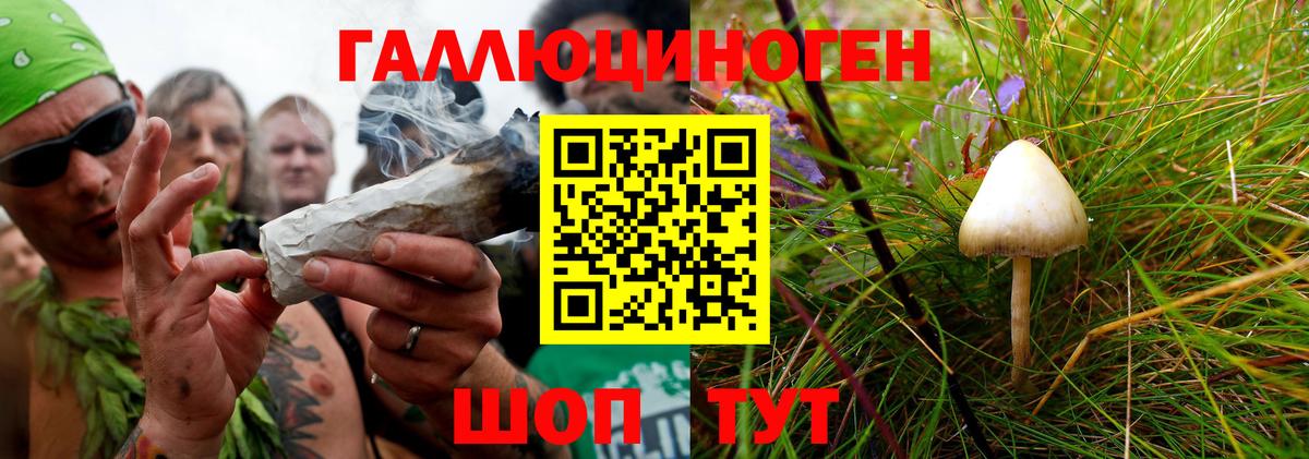 Псилоцибиновые грибы MAGIC MUSHROOMS  Псилоцибиновые грибы MAGIC MUSHROOMS  Горячий Ключ  Вход с VPN 